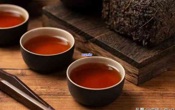 普洱茶属于黑茶吗？为什么？