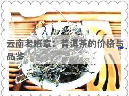 '云南勐海西双版纳老班章普洱茶：价格与品质详解'