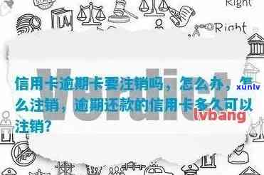 信用卡逾期后的正确处理方式：一步一步教你如何注销