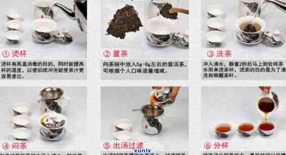 如何使用功夫茶具泡制普洱茶：步骤、技巧与常见问题解答