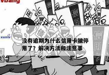 为什么信用卡没有逾期被停了？疑惑消解：原因解析和应对策略