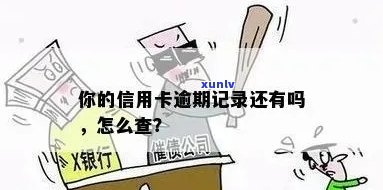 西安信用卡逾期怎么查询