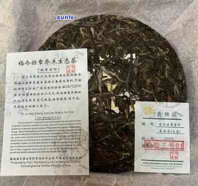 老班章早春古树茶，品味古老韵味，2020古树老班章春茶价格解析