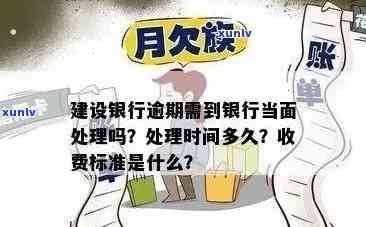 逾期900天后的建设银行信用卡处理策略：你可能不知道的关键步骤