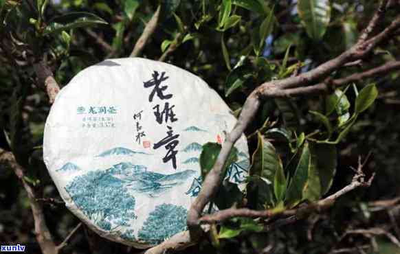 云南龙润老班章茶饼价格及介绍