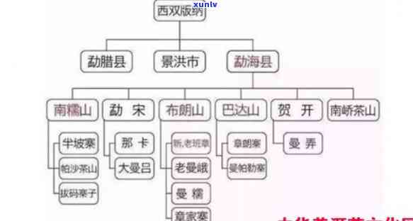 云南普洱茶的主要产区及其丰富茶树资源与品质