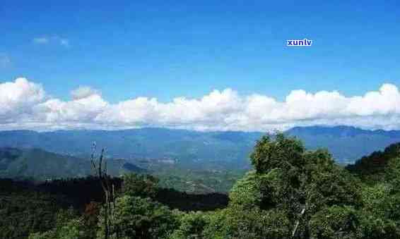 普洱海拔更高的地方：揭示云南更高的山巅与高度