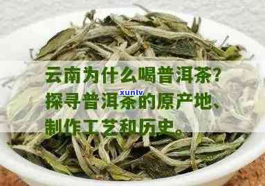 普洱茶：云南的特产茶叶及其产地、品种、 *** 工艺和功效全解析