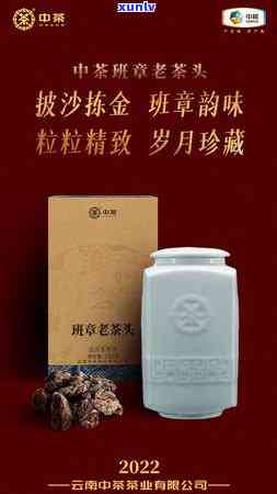 老班章散茶好还是饼茶好：区别、外观及饮用 *** 详解