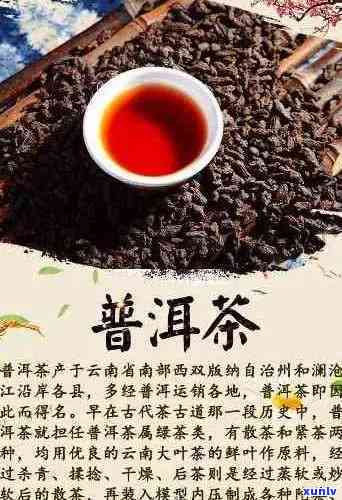 普洱10大名茶在哪