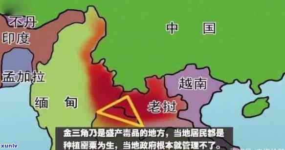 金三角地区：主要产地、经济发展与社会影响的综合解析