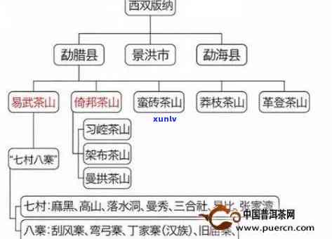 普洱六大茶山全面排名：了解各茶山特色与品质，挑选最适合你的茶叶