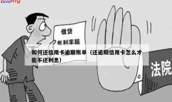 信用卡逾期私自还款无效