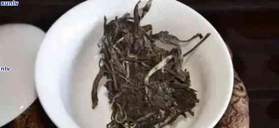 从选购到冲泡：老班章茶头沏茶的完整指南，让你轻松掌握茶艺技巧