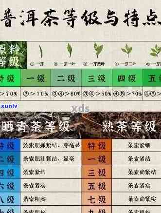 普洱：别名、品种及其独特魅力的全面解析