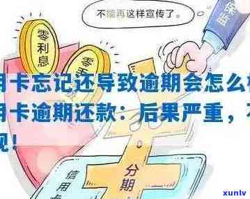 信用卡逾期处理全攻略：如何应对逾期问题，避免影响信用？