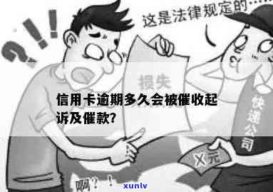 信用卡逾期催款怎么投标