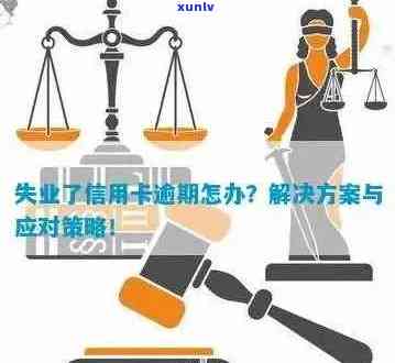 逾期未就业信用卡申请指南：寻找适合您的信用卡解决方案