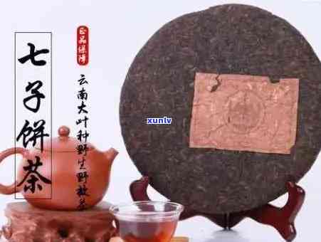 云南七子饼茶的价格、 *** 工艺及品尝 *** ：一份全面指南