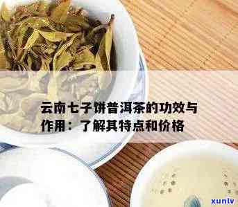 云南七子饼茶的价格、 *** 工艺及品尝 *** ：一份全面指南