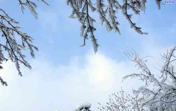 翡翠挂件阳春白雪：价值评估、选购指南与保养建议一应俱全