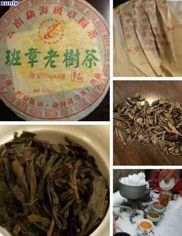 老班章茶怎么分真假？品质如何？