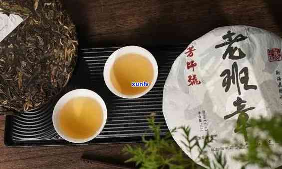 新莆田老班章挑选指南：如何在众多普洱茶中找到最合适的一款？