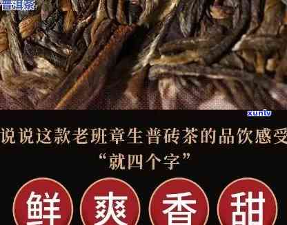 全面了解老班章茶砖价格：从品质到产地，一次搞定！