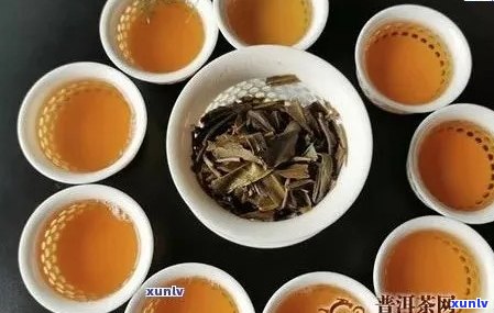 2020年兴海茶厂老班章普洱茶：品质越，价格实