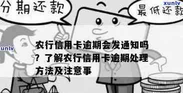 农行信用卡逾期还款时间长，用户如何应对及解决逾期问题？