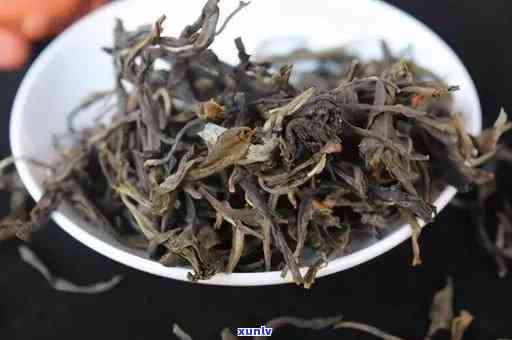 探究老班章生茶：新茶与老茶口感的对比，究竟哪款更令人醉？
