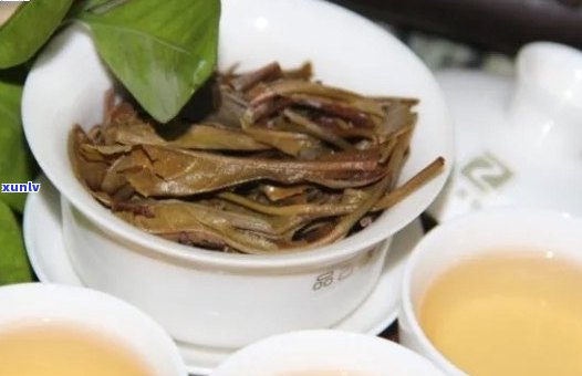班章茶：生茶与熟茶的优劣比较，哪种更适合您？