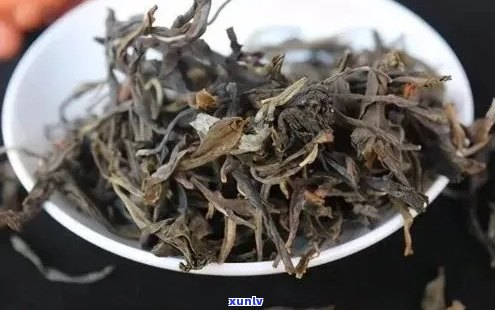 从产地到品种：全面了解老班章茶区的优质茶叶