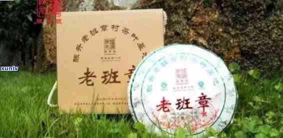 陈升创立的老班章茶业：探索普洱茶的传奇之路