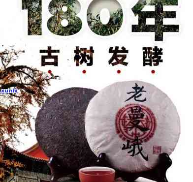 老班章2016年生茶饼：品质、产地、口感、收藏价值全面解析与品鉴指南