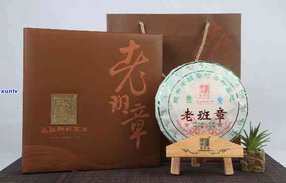 陈升2016年老班章茶品：独特的风味，超越年份的价值