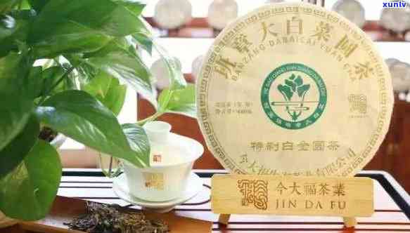 大白菜茶的价格、功效与泡法：全面解析老班章大白菜茶