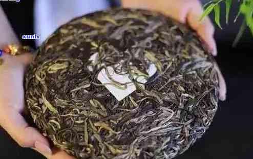 老班章茶王价格及品鉴：全面了解这款顶级普洱茶的品质与价值