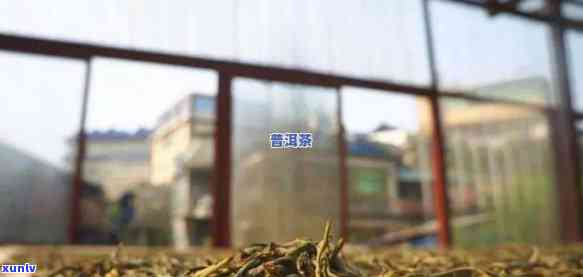 老班章有几个生产厂家：探究名茶背后的生产故事