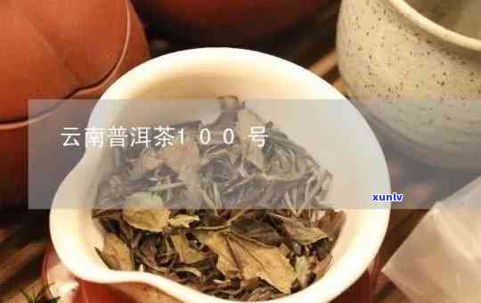 普洱茶100号：一款独具魅力的探索之旅