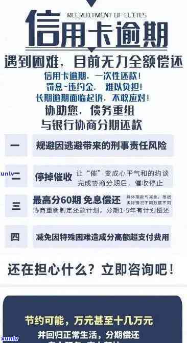 西安哪里可以进行玉石鉴定和购买？解答西安玉石鉴定和购买的相关问题。