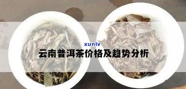 云南普洱方茶价格及批发货源，阿里茶叶市场分析