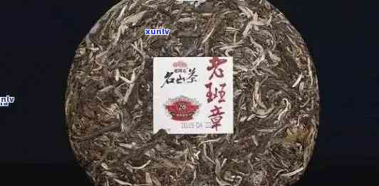 班章和黄金叶茶：品种特点、 *** 工艺与品饮技巧的全面解析