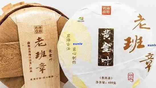 班章和黄金叶茶：品种特点、 *** 工艺与品饮技巧的全面解析