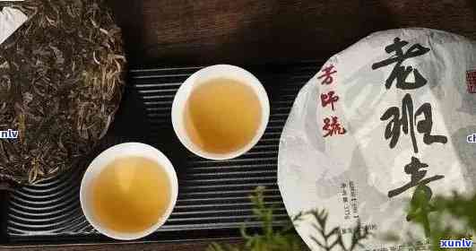 班章茶：真实还是虚构？探究其历、 *** 工艺与品茗体验