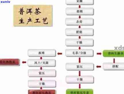 深入剖析普洱散茶 *** 工艺，带你了解全过程的详细步骤和详解