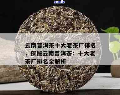 云南老班章：勐海茶区的精品普洱茶排行榜