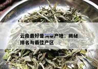 云南老班章：勐海茶区的精品普洱茶排行榜