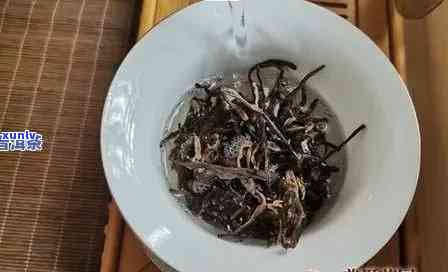 年份班章特色生茶：老班章2003普洱茶文化探究与品鉴