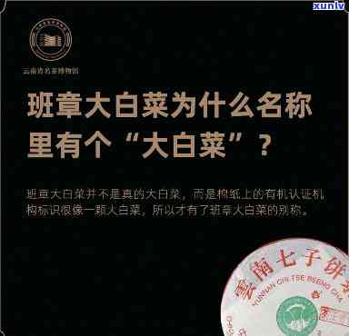 班章大白菜品鉴：从种植、口感、营养价值到烹饪 *** 的全面解析